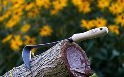 Tierra Garden DeWit Left Hand Japanese Hand Hoe Review