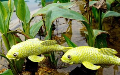 Tooyuart Solar Garden Fish Sculpture Review