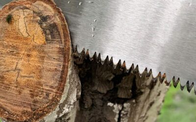 UTOOL Pruning Saw Review
