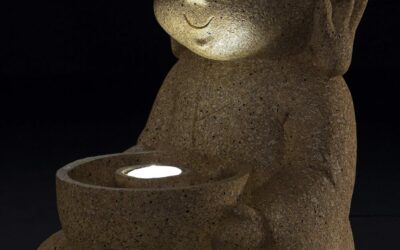 VP Home Buddha Statue Review