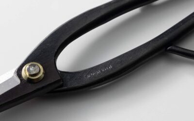 Wazakura Ashinaga Japanese Bonsai Scissors Review