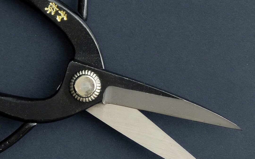 Wazakura Yasugi Steel Bonsai Scissors Review