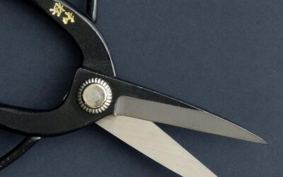 Wazakura Yasugi Steel Bonsai Scissors Review