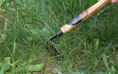 ZELARMAN Garden Weeding Sickle/Hand Hoe Review