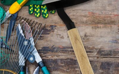 1pc Triangular Wood Hoe Review