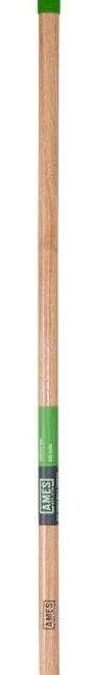 AMES 2825800 Action Hoe Review