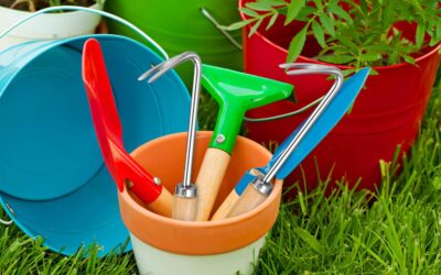 Happyyami Manual Hand Weeder Review