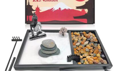 Hommeid Zen Garden for Desk Review