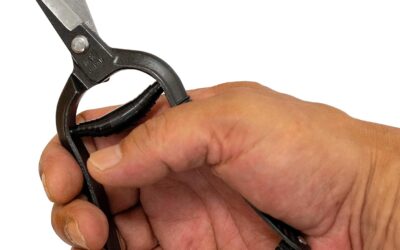 Japanese Bonsai Trimming Scissors 6.8″ Review