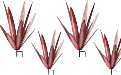 Jesokiibo 2pcs Tequila Rustic Sculpture Review