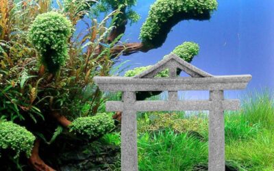 Livelyfish Japanese Shinto Torii Gate Review
