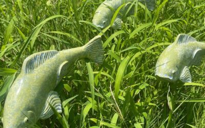 Mayuta 3 Pcs Koi Fish Decor Review