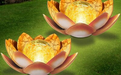 Montex 2 Pack Solar Lights Outdoor Decor Review