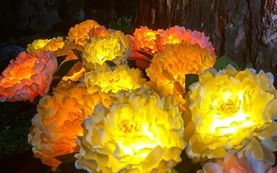 Outdoor Solar Garden Light Review