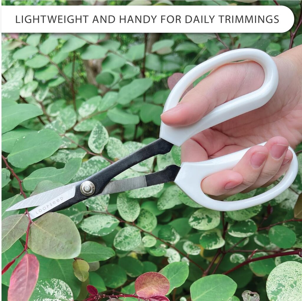 Precision Gardening Scissors Plant Trimming Pruning Shears Garden Pruners for Orchid Bonsai Hydroponic Garden Snip Flower Clipper Modern Garden Tool