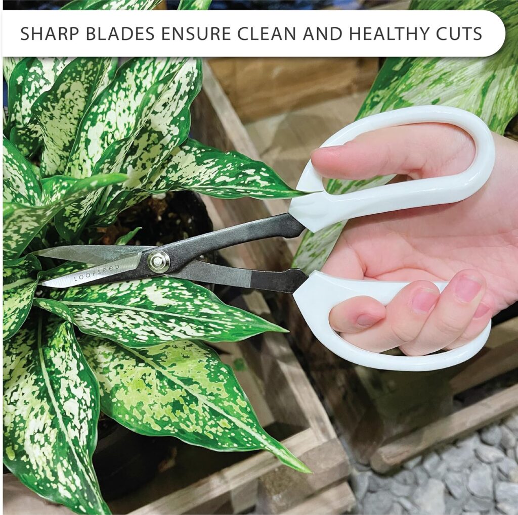 Precision Gardening Scissors Plant Trimming Pruning Shears Garden Pruners for Orchid Bonsai Hydroponic Garden Snip Flower Clipper Modern Garden Tool