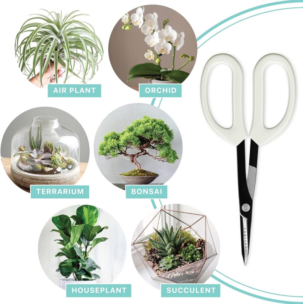 Precision Gardening Scissors Plant Trimming Pruning Shears Garden Pruners for Orchid Bonsai Hydroponic Garden Snip Flower Clipper Modern Garden Tool