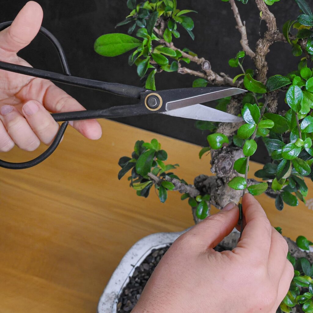 Professional Bonsai Butterfly Scissors | Pruning Shears for Trimming Plants | Japanese Gardening, Bonsai Tools | Garden Scissors