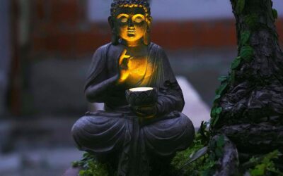 QZVANLON Buddha Statue for Home Decor Review