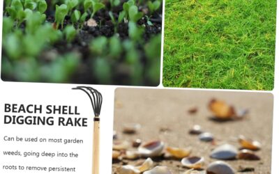 Sosoport 5 Five-Tooth Rake Review