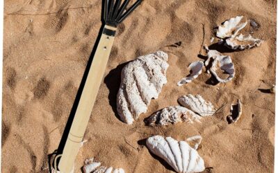 Sosoport Leveling Rake 5 Five-Tooth Review