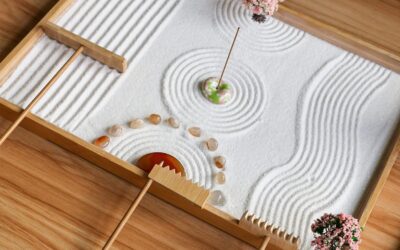 Tabletop Zen Garden Accessories Kit Review
