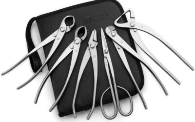 TianBonsai 6-PCS Bonsai Tool Set Review