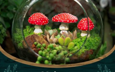 Tree Poetry Fairy Garden Miniatures Review