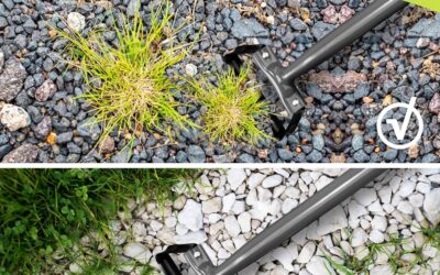 Walensee Mini Action Hoe Review