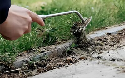 Weed Removal Tool 2023 Review