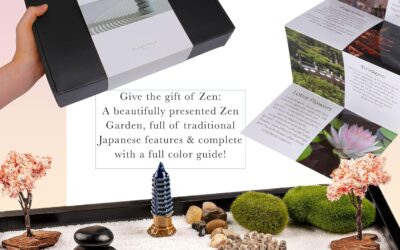 Zen Garden Kit 11x8in: A Detailed Review