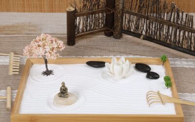 Zen Garden Kit for Office Desk Review