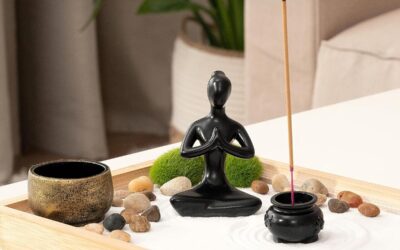 Zen Garden Kit Review