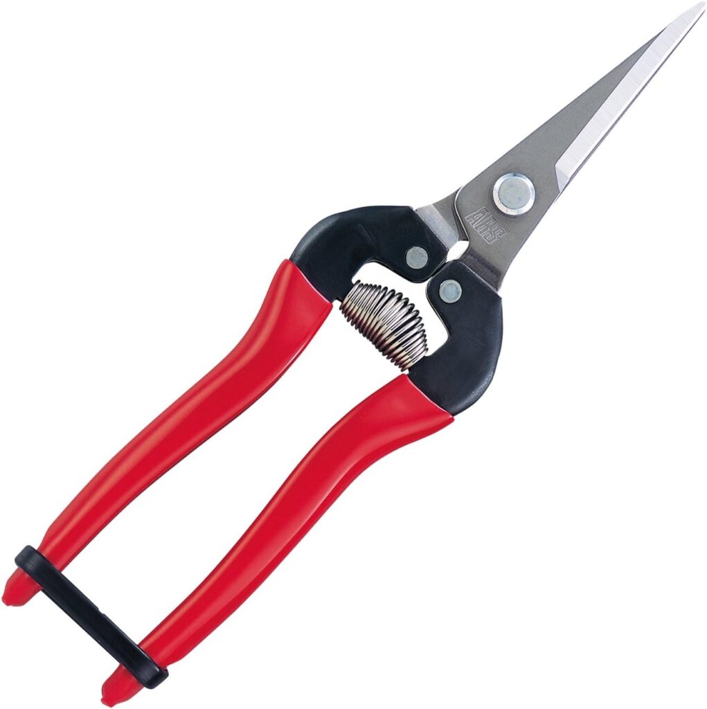 ARS HP-300LDX Stainless Steel Needle Nose Fruit Pruners