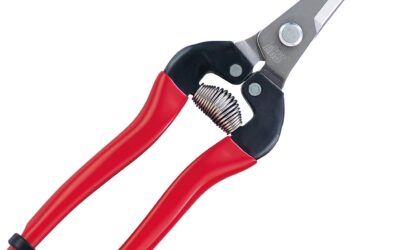 ARS HP-300LDX Stainless Steel Needle Nose Fruit Pruners Review