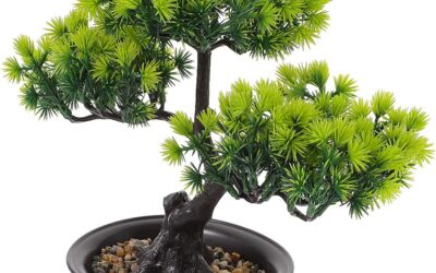 Artificial Bonsai Pine Tree Review