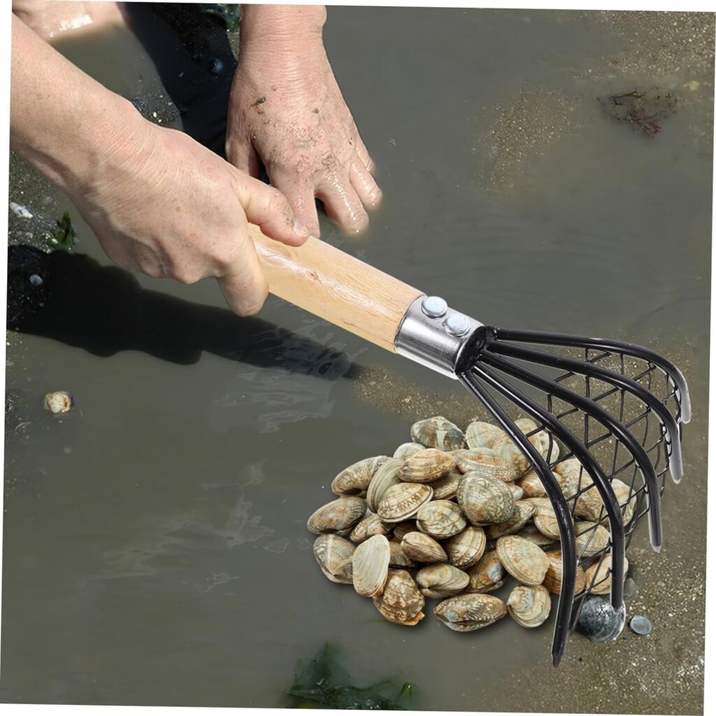 BESPORTBLE Clamming Tool 1pc Beach Rake Seafood Rake Clam Seafood Tools Garden Claw Rake Clamming Claw Small Rake Oyster Shell Clam Digging Tools