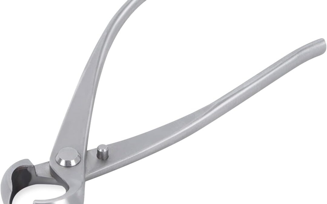 Bonsai Branch Cutter 7 Inch Stainless Steel Review