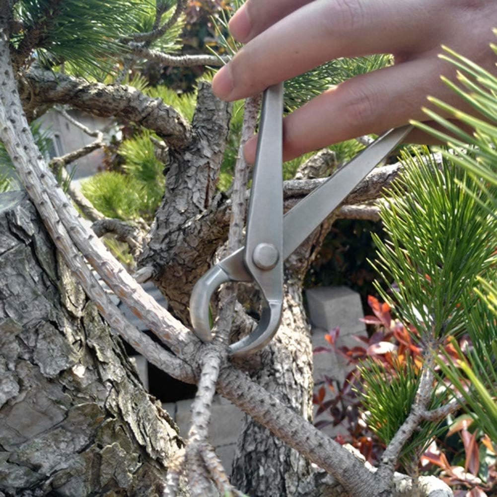 Bonsai Branch Cutter, 7 Inch (180mm) Stainless Steel Concave Knob Cutter Tree Limb Cutter Bonsai Pruning Japanese Gardening Tools