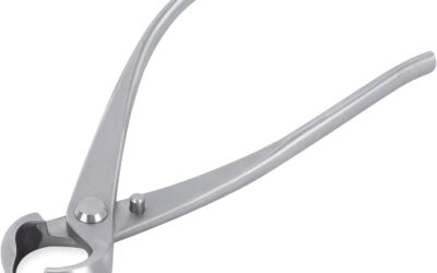 Bonsai Branch Cutter 7 Inch Stainless Steel Review