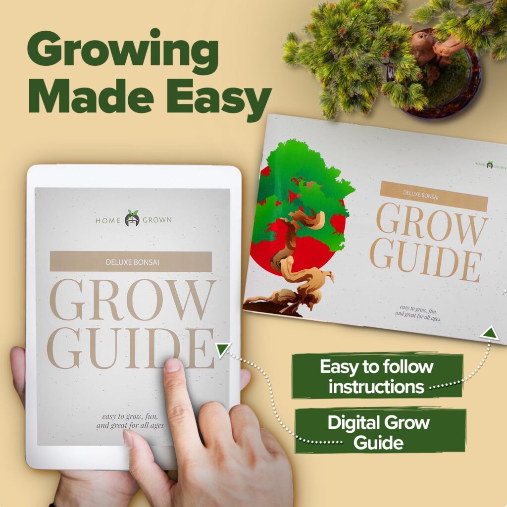 Bonsai Tree Kit, Grow Your Own: Premium 4 Bonsai Trees Starter Kit | Unique Japanese Gifts for Moms Who Have Everything, Women, Men | Gardening Plant Gift for Beginners  Gardeners, Crafts for Adults