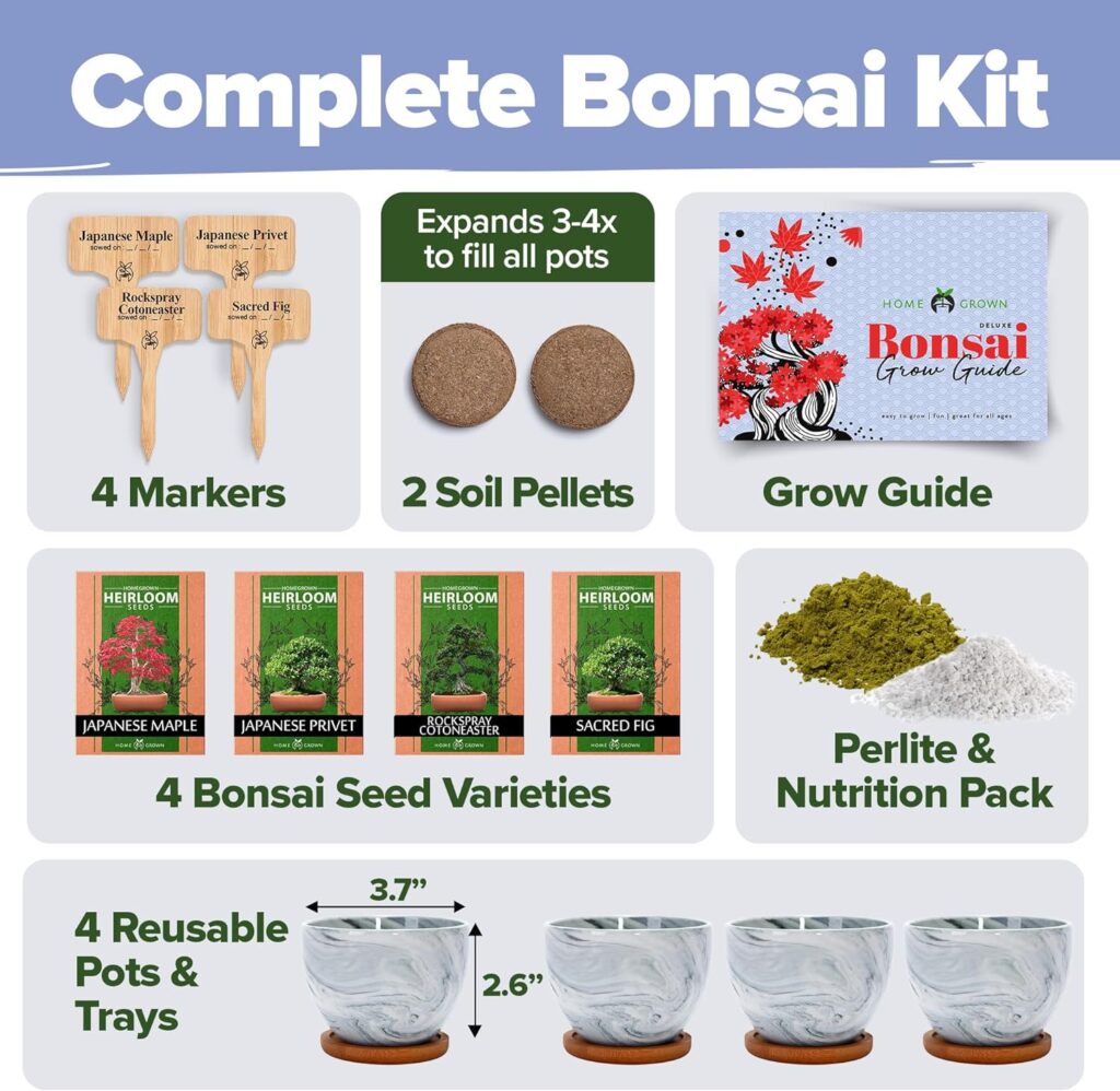 Bonsai Tree Kit, Grow Your Own: Premium 4 Bonsai Trees Starter Kit | Unique Japanese Gifts for Moms Who Have Everything, Women, Men | Gardening Plant Gift for Beginners  Gardeners, Crafts for Adults