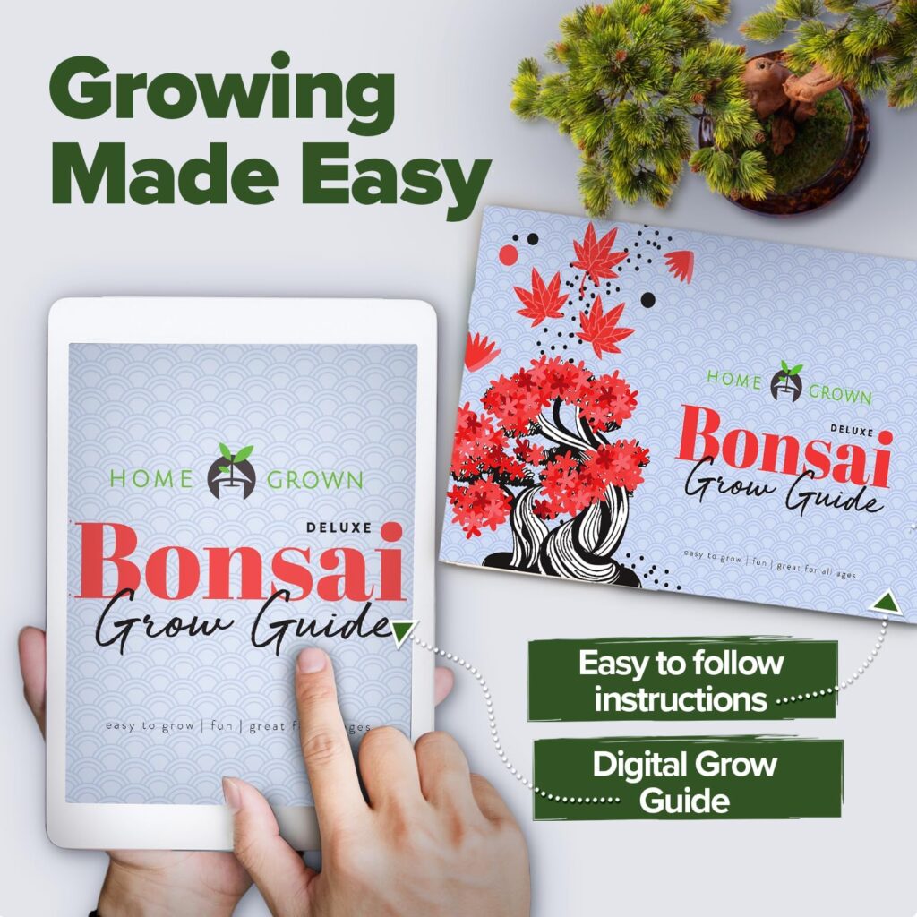 Bonsai Tree Kit, Grow Your Own: Premium 4 Bonsai Trees Starter Kit | Unique Japanese Gifts for Moms Who Have Everything, Women, Men | Gardening Plant Gift for Beginners  Gardeners, Crafts for Adults