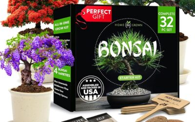 Bonsai Tree Kit Premium Starter Review