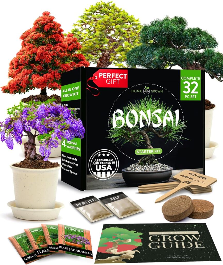 Bonsai Tree Kit, Grow Your Own: Premium 4 Bonsai Trees Starter Kit | Unique Japanese Gifts for Moms Who Have Everything, Women, Men | Gardening Plant Gift for Beginners  Gardeners, Crafts for Adults