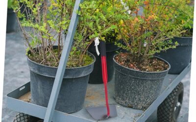 BUTIFULSIC Gardening Hand Hoe Review