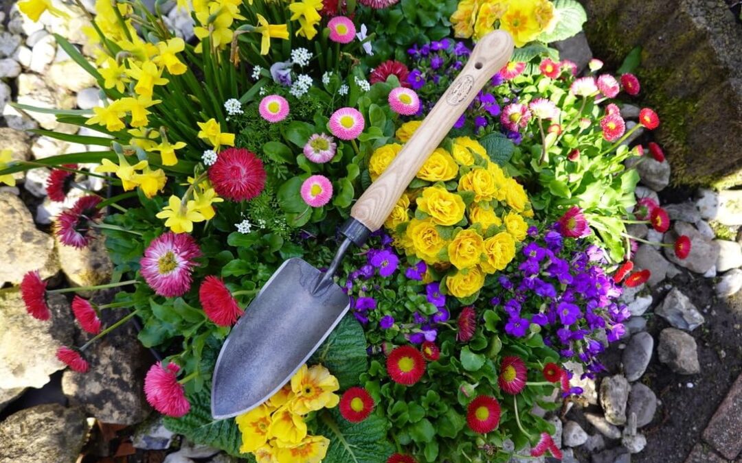 Dewit Trowel with Mid-Size Handle Review