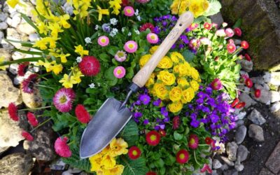 Dewit Trowel with Mid-Size Handle Review