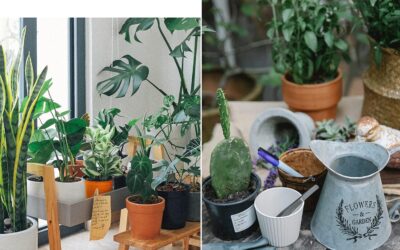 DOITOOL Pagoda Garden Statue 3pcs Review