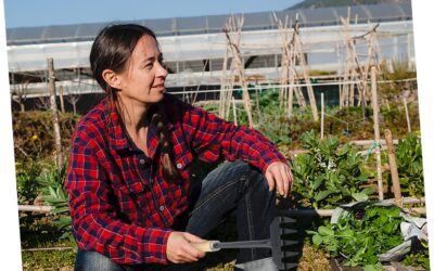 Five Tooth Rake Held Rake Review